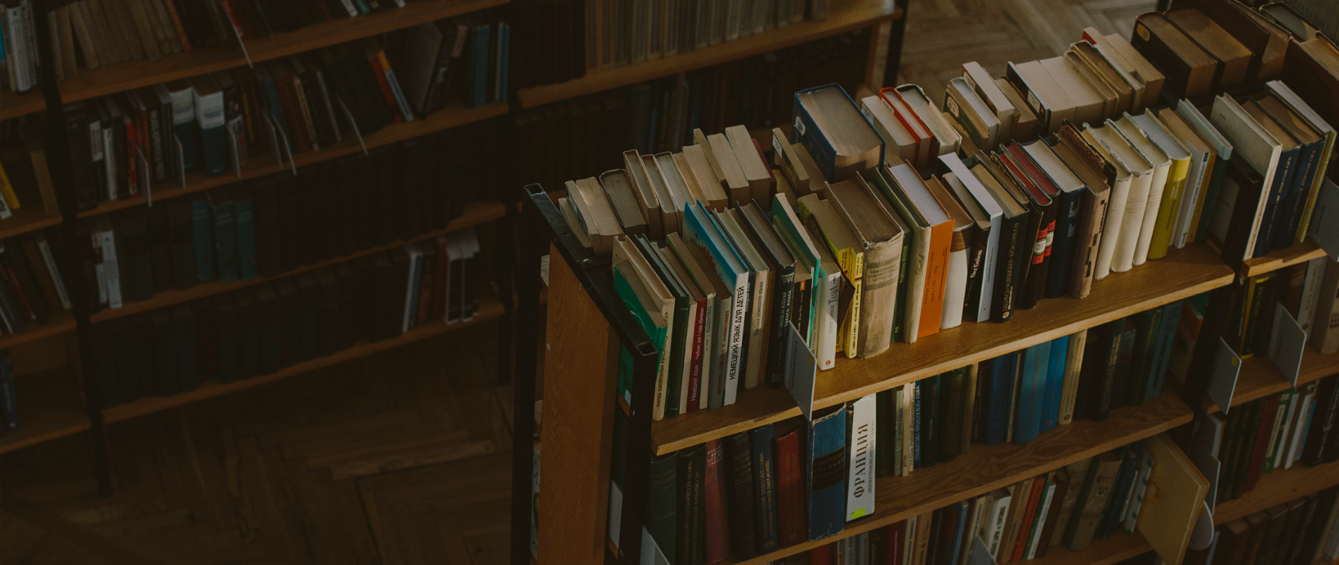 Holocaust books displayed in a library.